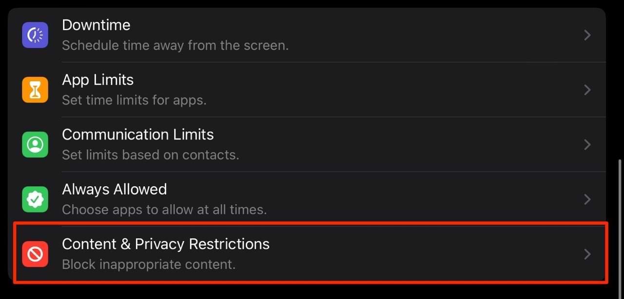 Check Content and Privacy Restrictions on iPad