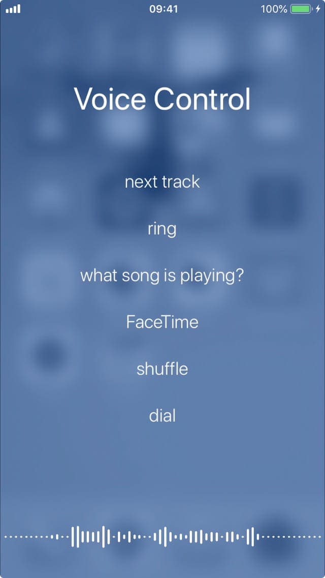 List of Voice Control controls on iPhone