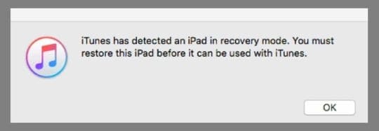 iTunes detects iPad in recovery mode