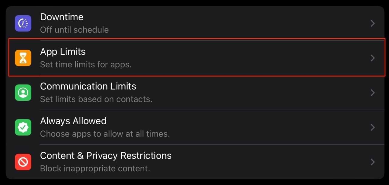 App limits tab on iPad