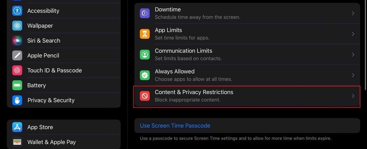 Tab for Content and Privacy Restrictions on iPad
