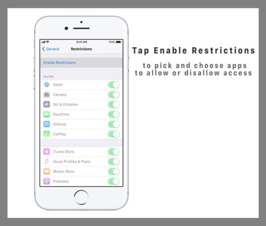Enabling Restrictions on iPad
