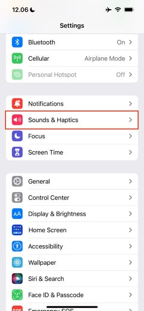 The Sounds and Haptics options on your iPhone