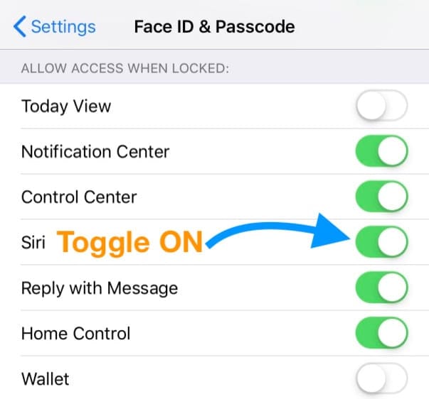 What Can I Do When Siri Is Not Working? Troubleshooting Siri - AppleToolBox