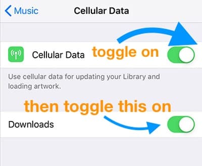 iPhone iOS Cellular Data and Downloads for Music