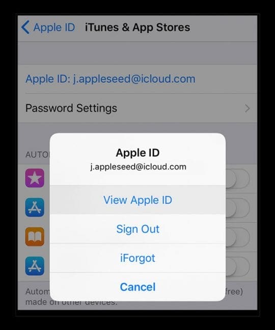 View Apple ID Information on iPhone using iOS 11