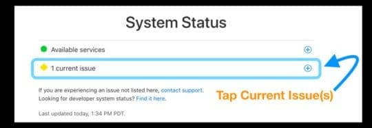 Check Apple System Status Report and Website for Issues
