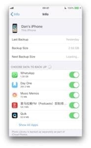 What's in an iCloud backup?