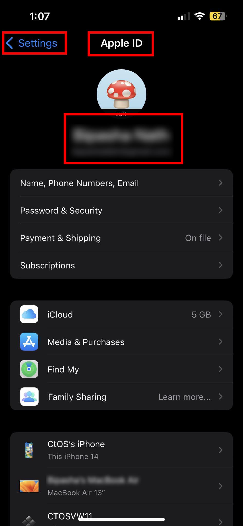 How to locate Apple ID on iPhone