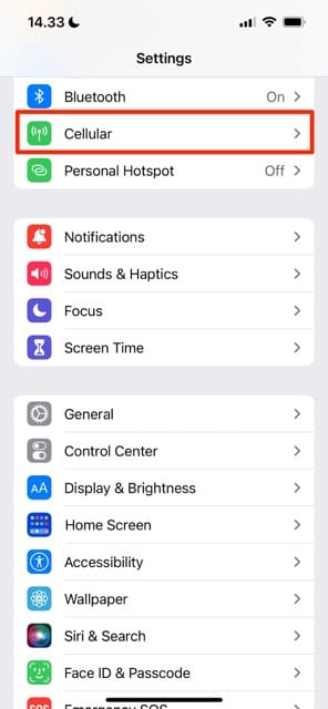 The Cellular section in iOS Settings