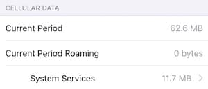 iOS cellular data options showing System Services button.