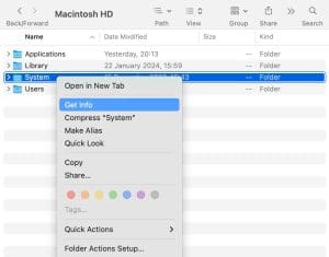 What Is “System Data” Storage on iPhone or Mac and How Do I Get Rid of It?