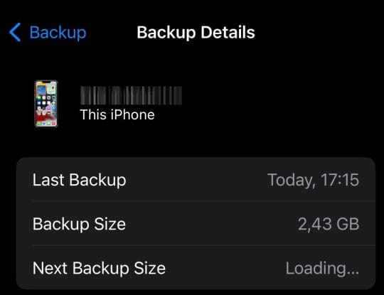What Is System Data Storage on iPhone or Mac - 11