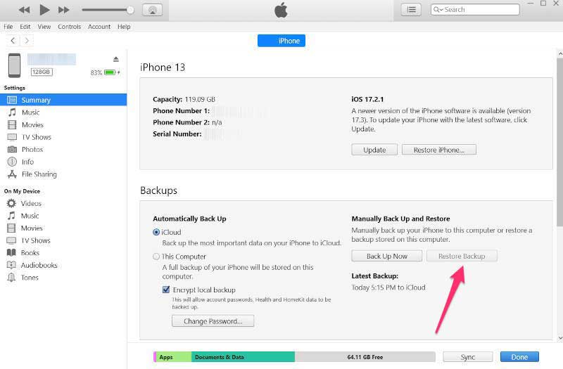 What Is System Data Storage on iPhone or Mac - 15
