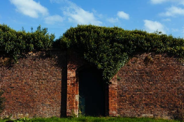 Tall brick wall surrounding a garden, representing Apple's garden-wall approach to software