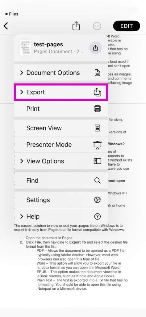 Exporting-pages-File-on-iOS-1