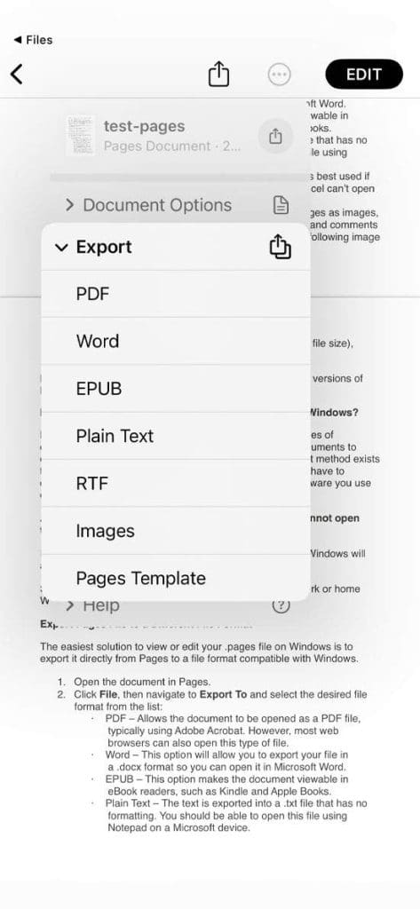 Exporting-pages-File-on-iOS-2