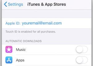 Apple ID email address in iOS settings.