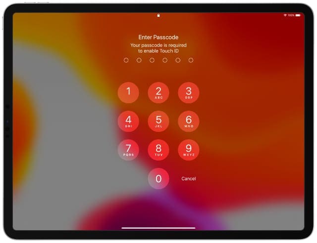 iPad Pro in landscape mode showing passcode screen required