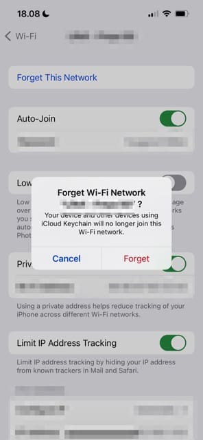 Forget Wi-Fi iPhone Network Screenshot