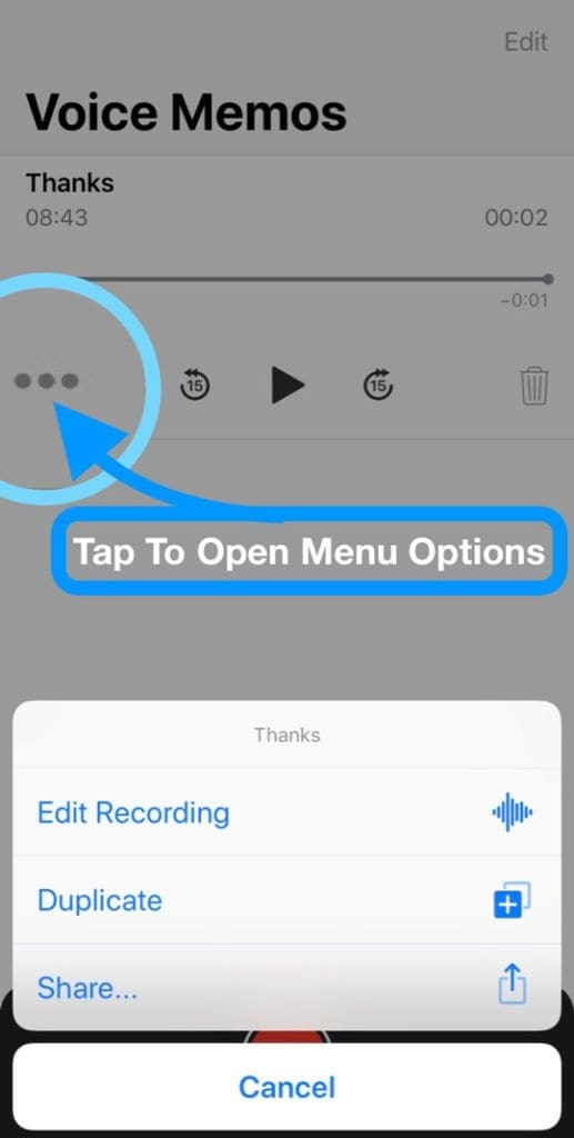 voice memo app menu options on iPhone with iOS 12