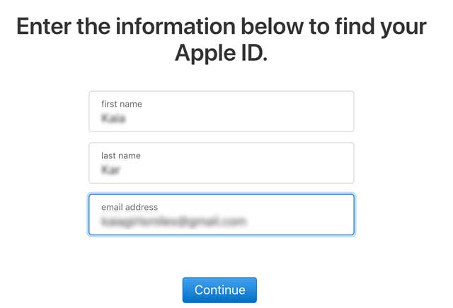 Инструмент проверки Apple ID 