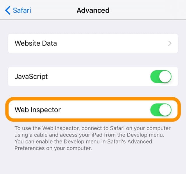 iOS and iPadOS Safari web inspector