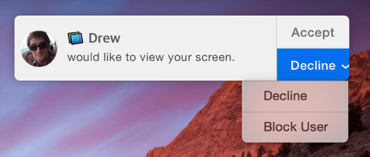 Screen Share - Accept