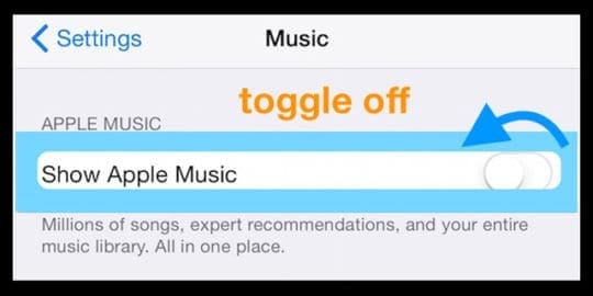Turn off Show Apple Music