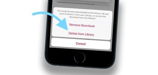 remove a song from Apple Music Library
