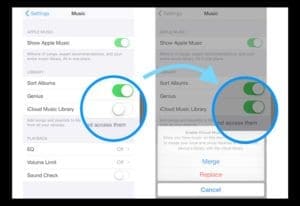 apple music not working on apple watch