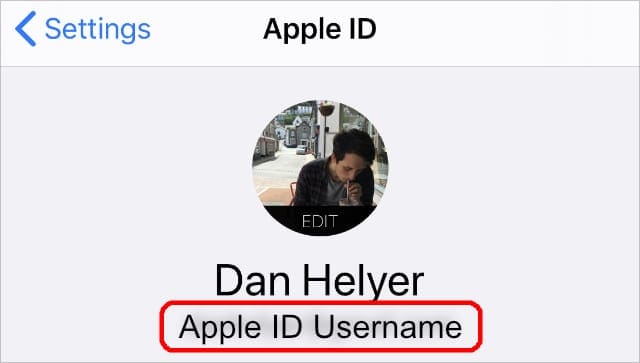 iPhone Apple ID settings highlighting Apple ID username