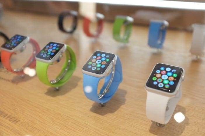 Apple Watch Display Case