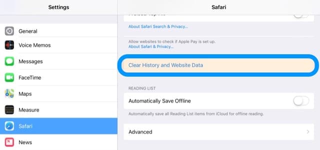 iPad clear history and website data