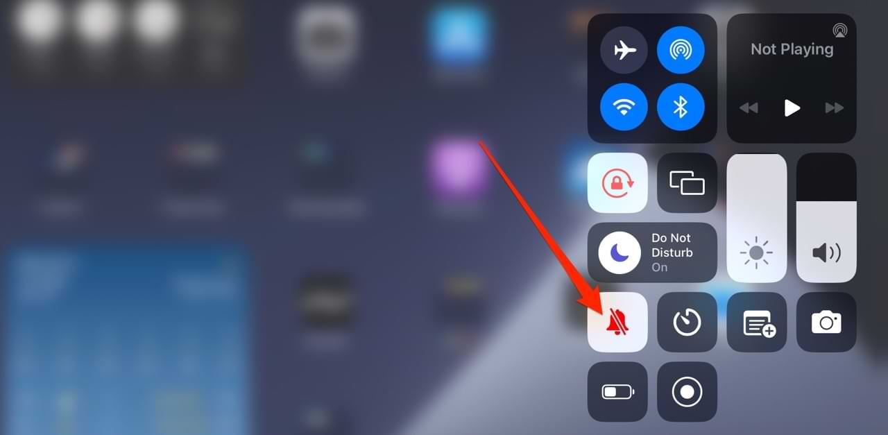 The Mute icon on an iPad in the Control Center