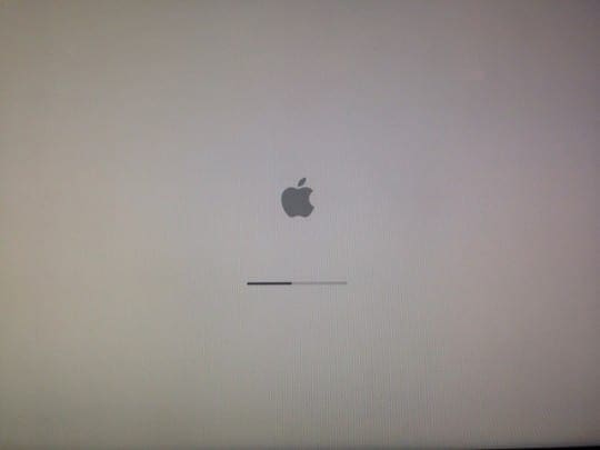 Macbook pro wont go past apple logo junt