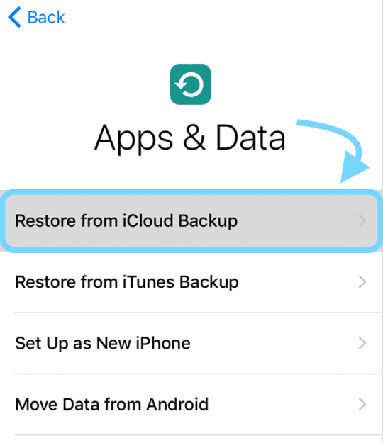 How-To Restore from an iCloud backup