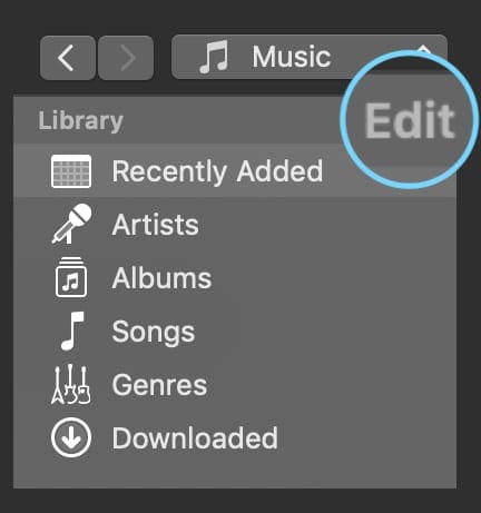 Change iTunes Library to show more option using the Edit function