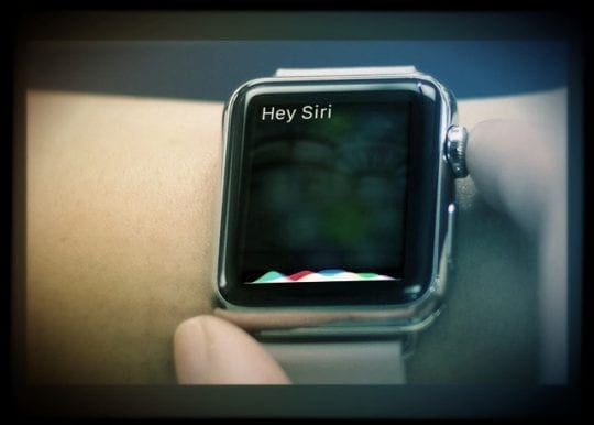 Siri Not Working on Apple Watch, How-To