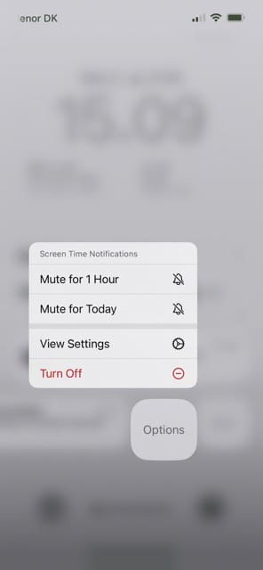 Notification options for iPhone