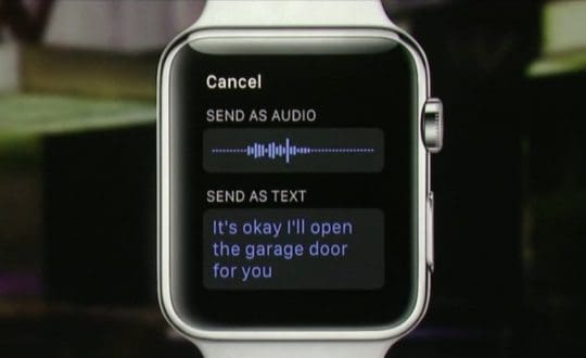 How to Use Dictation on Apple Watch
