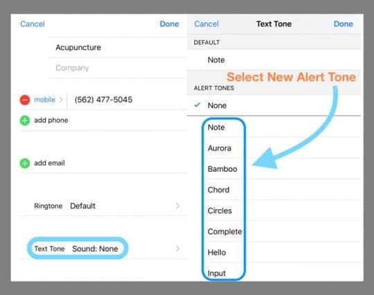Contact Alert Tone Selection iOS 11 iPhone
