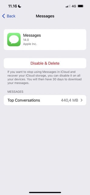 Messages Account Storage iCloud Screenshot
