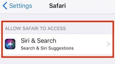 How To Clear Safari Search Suggestions on iPhone