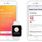 Apple Health Foot Print Taking Shape via Apple Watch
