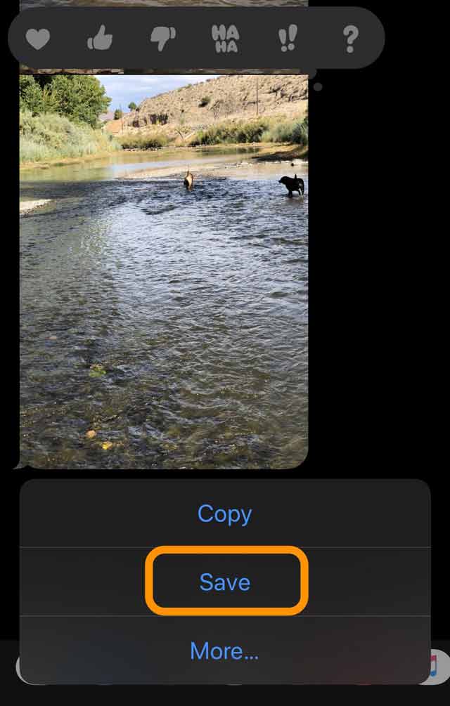 save a message app photo in iOS 13 and IPadOS