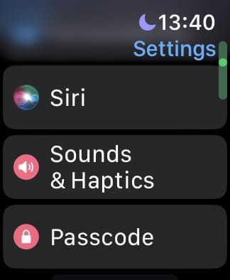 Apple Watch Sounds and Haptics Settings