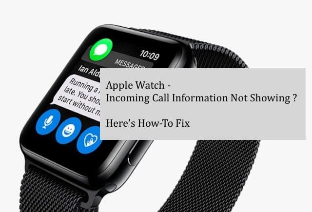 Can you make and receive online calls on an apple watch