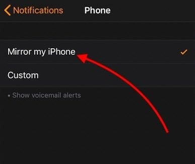 No Incoming Calls on Apple Watch, How-To Fix