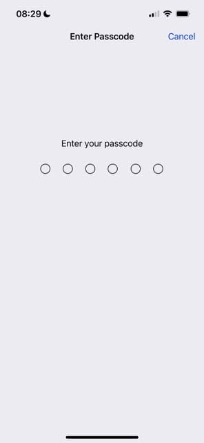 Enter your iPhone passcode